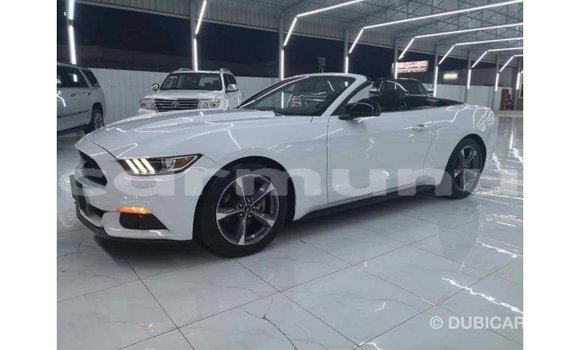 Buy Import Ford Mustang White Car in Import - Dubai in Region of Bouenza Buy Import Ford Mustang White Car in Import - Dubai in Region of Bouenza