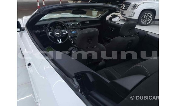 Buy Import Ford Mustang White Car in Import - Dubai in Region of Bouenza Buy Import Ford Mustang White Car in Import - Dubai in Region of Bouenza