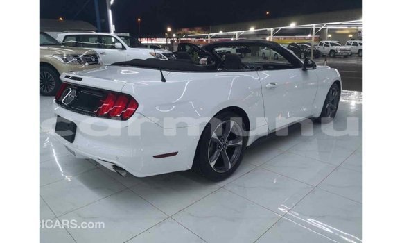 Acheter Import Voiture Ford Mustang Blanc à Import - Dubai, Région de la Bouenza