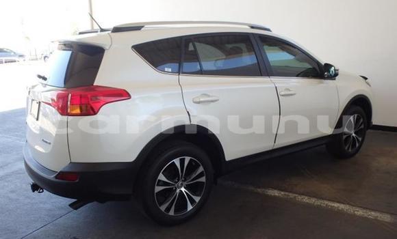 Buy Used Toyota RAV4 Green Car in Brazzaville in Municipality of Brazzaville Buy Used Toyota RAV4 Green Car in Brazzaville in Municipality of Brazzaville