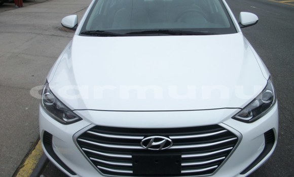 Buy Used Hyundai Elantra White Car in ewo in Cuvette-Ouest Buy Used Hyundai Elantra White Car in ewo in Cuvette-Ouest