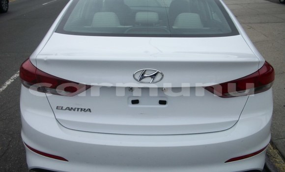 Buy Used Hyundai Elantra White Car in ewo in Cuvette-Ouest Buy Used Hyundai Elantra White Car in ewo in Cuvette-Ouest