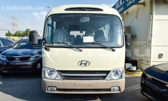 Buy Import Hyundai Chorus Beige Truck in Import - Dubai in Region of Bouenza Buy Import Hyundai Chorus Beige Truck in Import - Dubai in Region of Bouenza