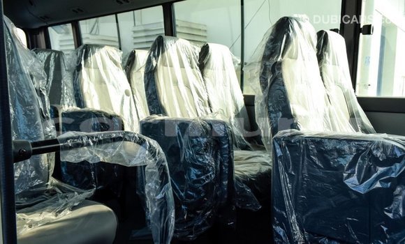 Buy Import Hyundai Chorus Beige Truck in Import - Dubai in Region of Bouenza Buy Import Hyundai Chorus Beige Truck in Import - Dubai in Region of Bouenza