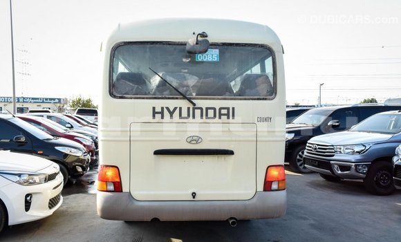 Buy Import Hyundai Chorus Beige Truck in Import - Dubai in Region of Bouenza Buy Import Hyundai Chorus Beige Truck in Import - Dubai in Region of Bouenza