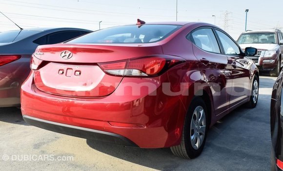 Acheter Import Voiture Hyundai Elantra Rouge à Import - Dubai, Région de la Bouenza Acheter Import Voiture Hyundai Elantra Rouge à Import - Dubai, Région de la Bouenza
