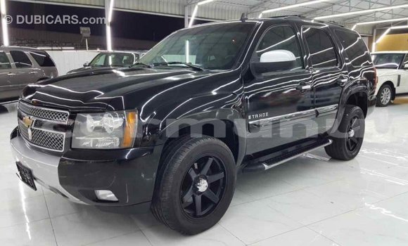 Buy Import Chevrolet Tahoe Black Car in Import - Dubai in Region of Bouenza Buy Import Chevrolet Tahoe Black Car in Import - Dubai in Region of Bouenza