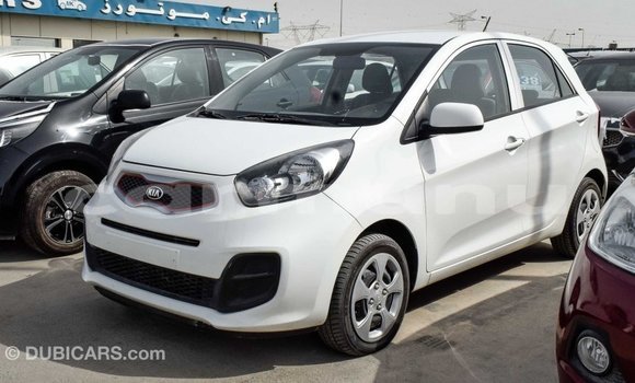 Buy Import Kia Picanto White Car in Import - Dubai in Region of Bouenza Buy Import Kia Picanto White Car in Import - Dubai in Region of Bouenza