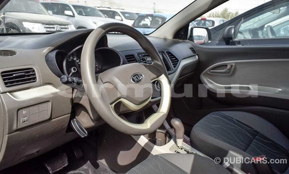 Buy Import Kia Picanto White Car in Import - Dubai in Region of Bouenza Buy Import Kia Picanto White Car in Import - Dubai in Region of Bouenza