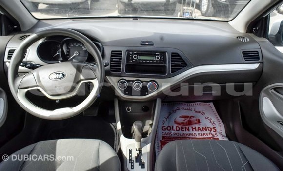 Buy Import Kia Picanto White Car in Import - Dubai in Region of Bouenza Buy Import Kia Picanto White Car in Import - Dubai in Region of Bouenza