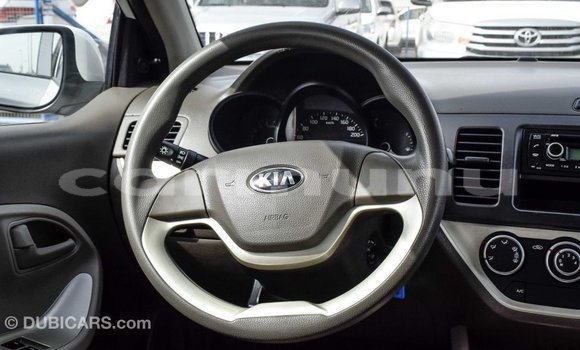 Buy Import Kia Picanto White Car in Import - Dubai in Region of Bouenza Buy Import Kia Picanto White Car in Import - Dubai in Region of Bouenza