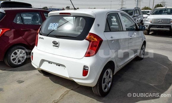 Buy Import Kia Picanto White Car in Import - Dubai in Region of Bouenza Buy Import Kia Picanto White Car in Import - Dubai in Region of Bouenza