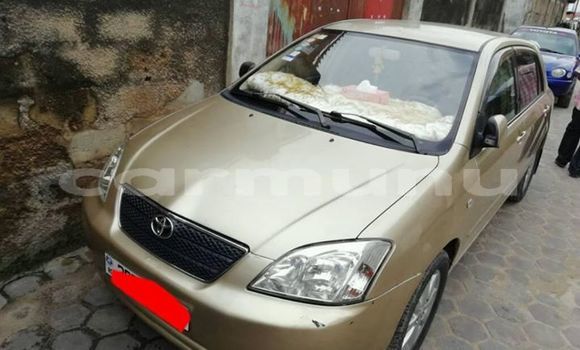 Buy Used Toyota Corolla Beige Car in Brazzaville in Municipality of Brazzaville Buy Used Toyota Corolla Beige Car in Brazzaville in Municipality of Brazzaville