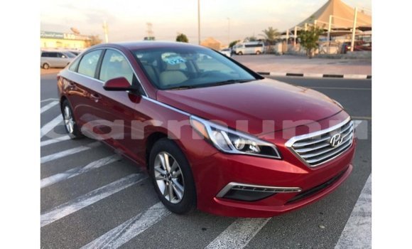 Buy Import Hyundai Sonata Red Car in Import - Dubai in Region of Bouenza Buy Import Hyundai Sonata Red Car in Import - Dubai in Region of Bouenza