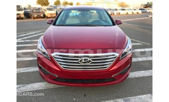 Buy Import Hyundai Sonata Red Car in Import - Dubai in Region of Bouenza Buy Import Hyundai Sonata Red Car in Import - Dubai in Region of Bouenza