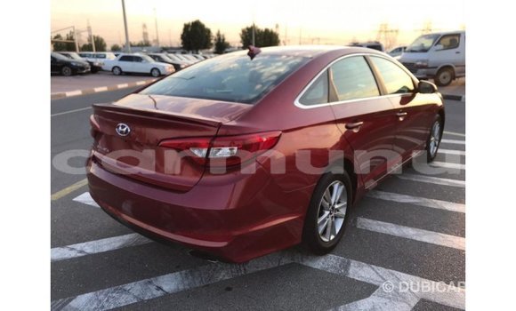 Buy Import Hyundai Sonata Red Car in Import - Dubai in Region of Bouenza Buy Import Hyundai Sonata Red Car in Import - Dubai in Region of Bouenza