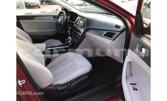 Buy Import Hyundai Sonata Red Car in Import - Dubai in Region of Bouenza Buy Import Hyundai Sonata Red Car in Import - Dubai in Region of Bouenza