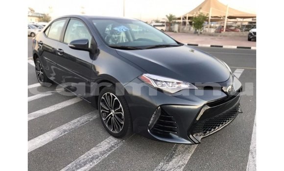 Buy Import Toyota Corolla Other Car in Import - Dubai in Region of Bouenza Buy Import Toyota Corolla Other Car in Import - Dubai in Region of Bouenza