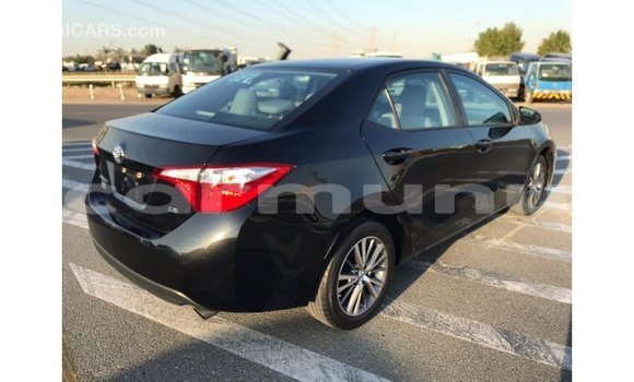 Buy Import Toyota Corolla Black Car in Import - Dubai in Region of Bouenza Buy Import Toyota Corolla Black Car in Import - Dubai in Region of Bouenza
