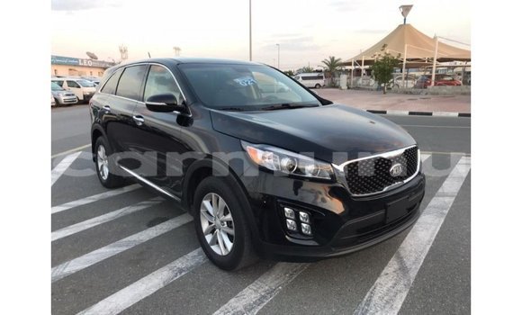 Buy Import Kia Sorento Black Car in Import - Dubai in Region of Bouenza Buy Import Kia Sorento Black Car in Import - Dubai in Region of Bouenza