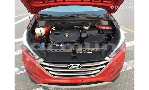 Buy Import Hyundai Tucson Red Car in Import - Dubai in Region of Bouenza Buy Import Hyundai Tucson Red Car in Import - Dubai in Region of Bouenza