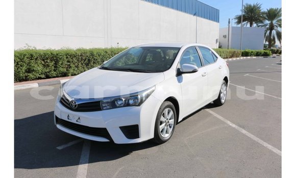 Buy Import Toyota Corolla White Car in Import - Dubai in Region of Bouenza Buy Import Toyota Corolla White Car in Import - Dubai in Region of Bouenza