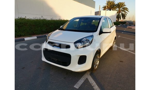 Buy Import Kia Picanto White Car in Import - Dubai in Region of Bouenza Buy Import Kia Picanto White Car in Import - Dubai in Region of Bouenza
