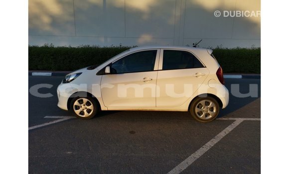 Buy Import Kia Picanto White Car in Import - Dubai in Region of Bouenza Buy Import Kia Picanto White Car in Import - Dubai in Region of Bouenza