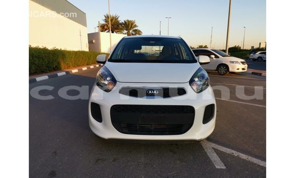 Buy Import Kia Picanto White Car in Import - Dubai in Region of Bouenza Buy Import Kia Picanto White Car in Import - Dubai in Region of Bouenza