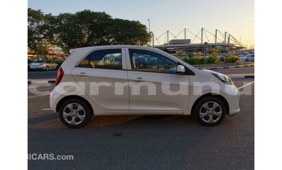 Buy Import Kia Picanto White Car in Import - Dubai in Region of Bouenza Buy Import Kia Picanto White Car in Import - Dubai in Region of Bouenza