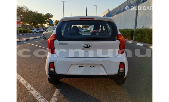 Buy Import Kia Picanto White Car in Import - Dubai in Region of Bouenza Buy Import Kia Picanto White Car in Import - Dubai in Region of Bouenza