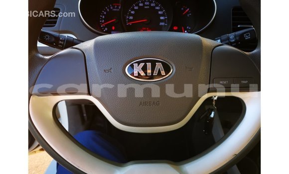 Buy Import Kia Picanto White Car in Import - Dubai in Region of Bouenza Buy Import Kia Picanto White Car in Import - Dubai in Region of Bouenza