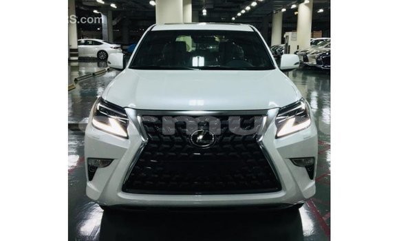 Buy Import Lexus GX White Car in Import - Dubai in Region of Bouenza Buy Import Lexus GX White Car in Import - Dubai in Region of Bouenza