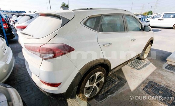 Acheter Import Voiture Hyundai Tucson Blanc à Import - Dubai, Région de la Bouenza Acheter Import Voiture Hyundai Tucson Blanc à Import - Dubai, Région de la Bouenza