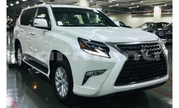 Acheter Import Voiture Lexus GX Blanc à Import - Dubai, Région de la Bouenza Acheter Import Voiture Lexus GX Blanc à Import - Dubai, Région de la Bouenza