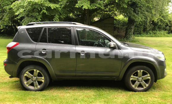 Buy Used Toyota RAV4 Beige Car in Brazzaville in Municipality of Brazzaville Buy Used Toyota RAV4 Beige Car in Brazzaville in Municipality of Brazzaville