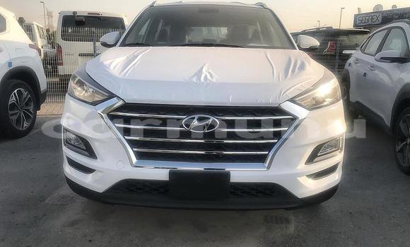 Acheter Neuf Voiture Hyundai Tucson Blanc à Import - Dubai, Région de la Bouenza Acheter Neuf Voiture Hyundai Tucson Blanc à Import - Dubai, Région de la Bouenza