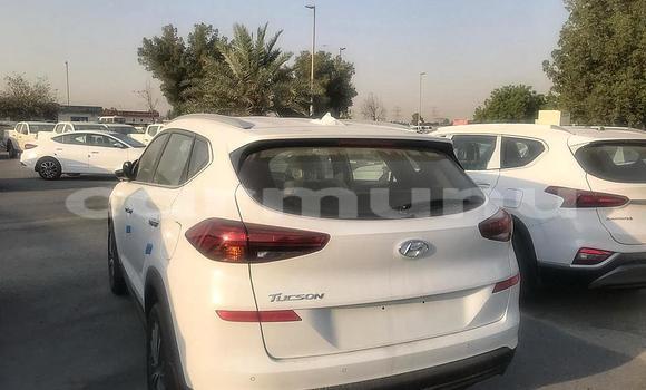 Acheter Neuf Voiture Hyundai Tucson Blanc à Import - Dubai, Région de la Bouenza Acheter Neuf Voiture Hyundai Tucson Blanc à Import - Dubai, Région de la Bouenza