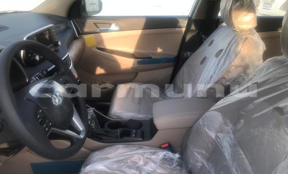 Acheter Neuf Voiture Hyundai Tucson Blanc à Import - Dubai, Région de la Bouenza Acheter Neuf Voiture Hyundai Tucson Blanc à Import - Dubai, Région de la Bouenza