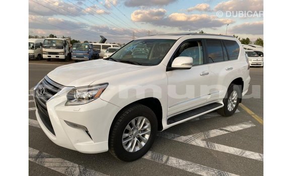 Buy Import Lexus GX White Car in Import - Dubai in Region of Bouenza Buy Import Lexus GX White Car in Import - Dubai in Region of Bouenza