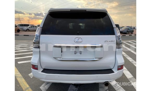 Buy Import Lexus GX White Car in Import - Dubai in Region of Bouenza Buy Import Lexus GX White Car in Import - Dubai in Region of Bouenza