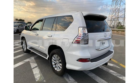 Buy Import Lexus GX White Car in Import - Dubai in Region of Bouenza Buy Import Lexus GX White Car in Import - Dubai in Region of Bouenza