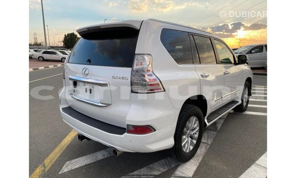 Buy Import Lexus GX White Car in Import - Dubai in Region of Bouenza Buy Import Lexus GX White Car in Import - Dubai in Region of Bouenza