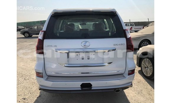 Buy Import Lexus GX White Car in Import - Dubai in Region of Bouenza Buy Import Lexus GX White Car in Import - Dubai in Region of Bouenza