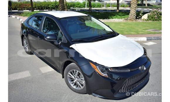 Buy Import Toyota Corolla Black Car in Import - Dubai in Region of Bouenza Buy Import Toyota Corolla Black Car in Import - Dubai in Region of Bouenza