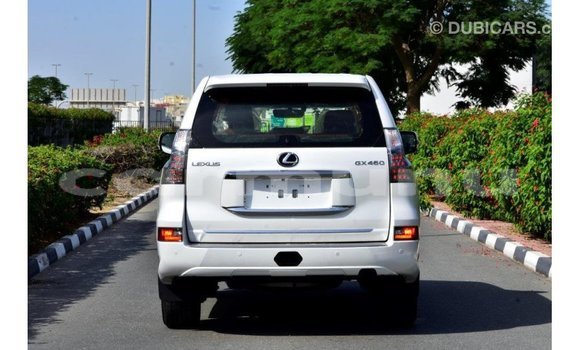 Buy Import Lexus GX White Car in Import - Dubai in Region of Bouenza Buy Import Lexus GX White Car in Import - Dubai in Region of Bouenza