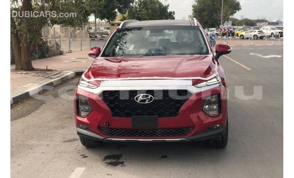 Buy Import Hyundai Santa Fe Red Car in Import - Dubai in Region of Bouenza Buy Import Hyundai Santa Fe Red Car in Import - Dubai in Region of Bouenza