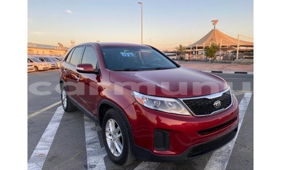Buy Import Kia Sorento Red Car in Import - Dubai in Region of Bouenza Buy Import Kia Sorento Red Car in Import - Dubai in Region of Bouenza