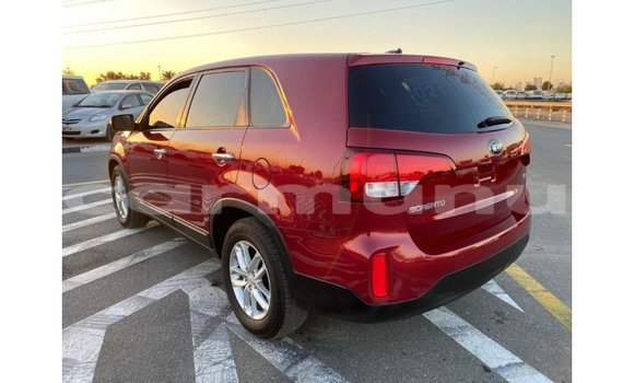 Buy Import Kia Sorento Red Car in Import - Dubai in Region of Bouenza Buy Import Kia Sorento Red Car in Import - Dubai in Region of Bouenza