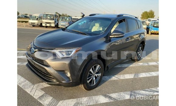 Buy Import Toyota HiAce Other Truck in Import - Dubai in Region of Bouenza Buy Import Toyota HiAce Other Truck in Import - Dubai in Region of Bouenza